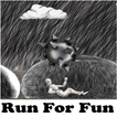 Run For Fun