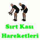 Icona Sırt Kası Hareketleri