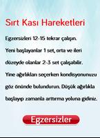 Poster Sırt Kası Hareketleri