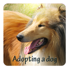 Adopting Dogs আইকন