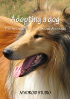 Adopting a Dog 海报
