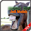 DP Editor Apps APK