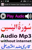 Mp3 Surah Yaseen Audio Sadaqat اسکرین شاٹ 2
