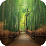 Places to See Before You Die