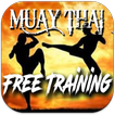 muay thai training free