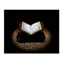 Diyanet Kur'an Meali (TAKIPLI) APK