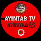 Ayintab TV icône