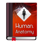 Human Anatomy Dictionary Offline ikon