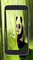 Cute Panda Wallpapers capture d'écran 1