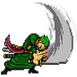 Zoro Pirate Hunter
