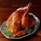 OVEN ROASTED TURKEY RECIPE Zeichen