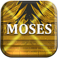 Moses The Freedom Fighter