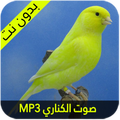 صوت الكناري