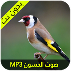 صوت الحسون الأصلي ícone