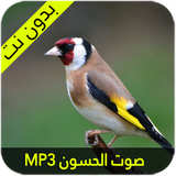 صوت الحسون الأصلي ícone