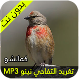 صوت التفاحي كماتشو