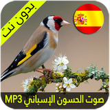 صوت الحسون الإسباني ícone