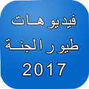 طيور بيبي 2017 APK