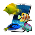 FISH LIVE WALLPAPER 2016 icône