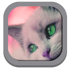 Fondos de pantalla de Gatos icono