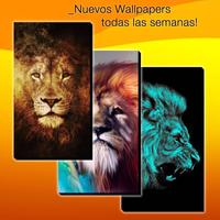 Fondos de Leones - LeonWallpapers syot layar 1