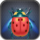 Böcük APK