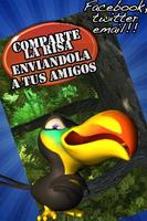 chistes: Papagayon el tucan imagem de tela 3