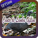 Canto de Lambu Offline APK