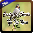 Cantos de Chorão Tui Tui Novo icône