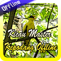 Kicau Master Kepodang Offline