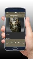 Kicau Burung Hantu Master Offline screenshot 2