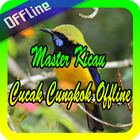 Master Kicau Cucak Cungkok Offline أيقونة