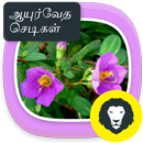 Ayurvedic Herbal  Plants Tips APK