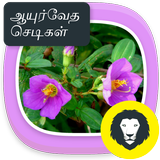 Ayurvedic Herbal  Plants Tips icon