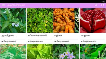 Ayurvedic Herbal  Plants Tips تصوير الشاشة 1