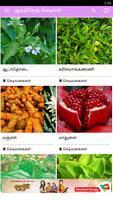 Ayurvedic Herbal  Plants Tips capture d'écran 3