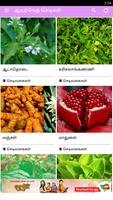 Ayurvedic Herbal  Plants Tips Screenshot 3