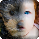 Animal Faces : Face Morphing APK