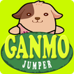 GANMO Jumper