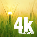 4K Wallpapers & GIF APK
