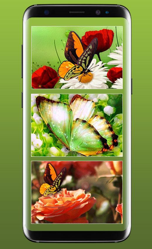 Featured image of post Butterfly Lock Screen Mobile Beautiful Wallpaper Hd - Butterfly lock screen looks stunning on any phone!