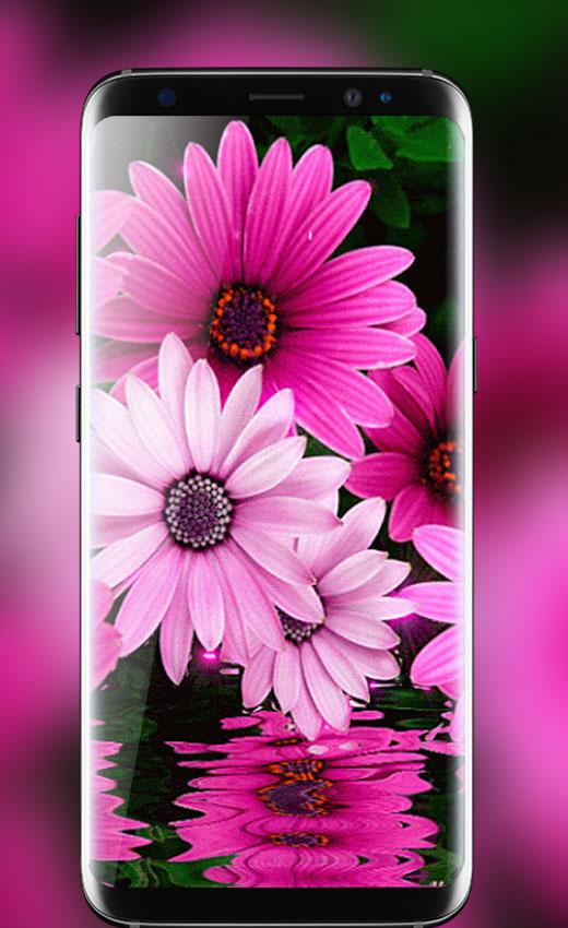 Butterfly Live Wallpaper HD APK for Android – Download Butterfly Live Wallpaper HD APK Latest Version from Butterfly Live Wallpaper HD APK for Android – Download Butterfly Live Wallpaper HD APK Latest Version from
