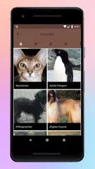 Animal World A-Z Collections APK download