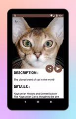 Animal World A-Z Collections APK download