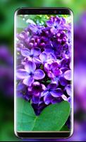 Lilac Live Wallpapers Free - HD Flower Wallpaper capture d'écran 3