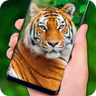 Tiger Live Wallpaper 2018: Colorful HD Backgrounds