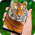 Tiger Live Wallpaper 2018: Colorful HD Backgrounds icône