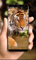 Tiger Live Wallpaper 2018: Colorful HD Backgrounds capture d'écran 3