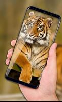 Tiger Live Wallpaper 2018: Colorful HD Backgrounds capture d'écran 1