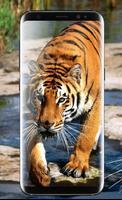 Tiger Live Wallpaper 2018: Colorful HD Backgrounds capture d'écran 2